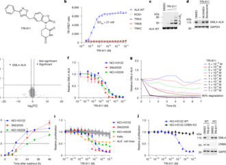 TRI-611, a selective, brain-penetrant molecular glue degrader of ALK – Nature