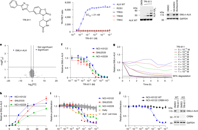 TRI-611, a selective, brain-penetrant molecular glue degrader of ALK – Nature