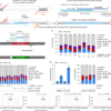 Targeted genomic integration and rearrangement using prime assembly – Nature