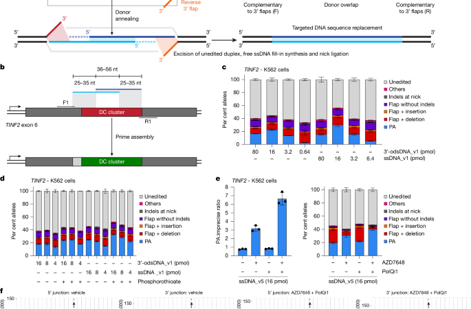 Targeted genomic integration and rearrangement using prime assembly – Nature