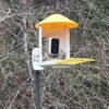 The Best Gifts for Bird Lovers (That They’ll Actually Use)