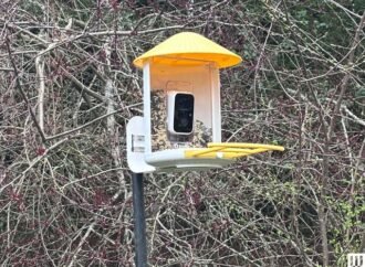 The Best Gifts for Bird Lovers (That They’ll Actually Use)
