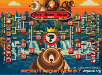 The Fat Bear Week 2026 bracket is here and chunkier than ever