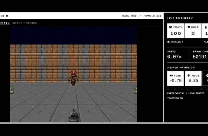 The Latest Weird Thing to Play Doom Is the Mapped-Out Brain of a Fruit Fly – CNET