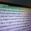 There’s a global pandemic treaty that’s signed — and in ‘limbo.’ What’s the holdup?