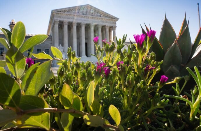Trump administration turns to Supreme Court as third-country deportations are thrown into question