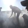 Trump’s Board of Peace proposes $2.45 billion blueprint to begin Gaza reconstruction