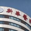 Two children died from gene therapies in China: where the field goes next