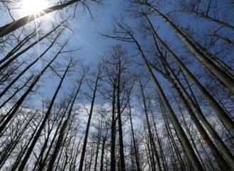 US Forest Service closing 23 research facilities as part of reorganization under Trump