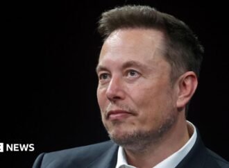 US backs Elon Musk’s bid to overturn €120m EU fine against X