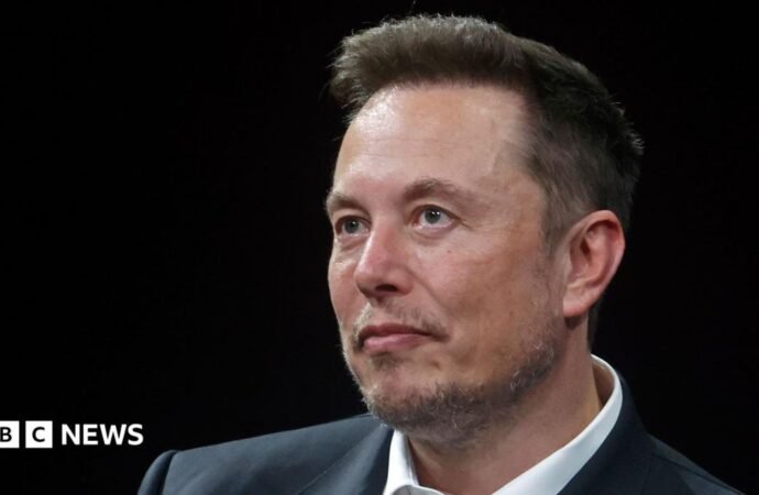 US backs Elon Musk’s bid to overturn €120m EU fine against X