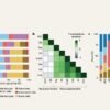 Vast cellular gene-expression atlas could transform how scientists understand brain ageing and disease