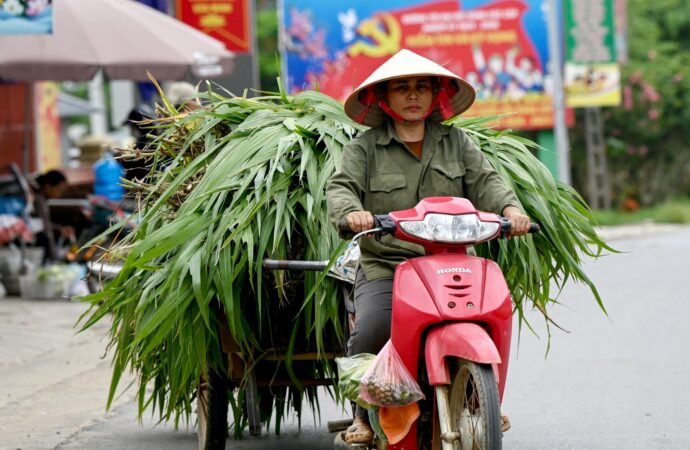 Vietnam is finally a FTSE emerging market—yet it’s the country’s banks, not its exporters, that’ll benefit most | Fortune