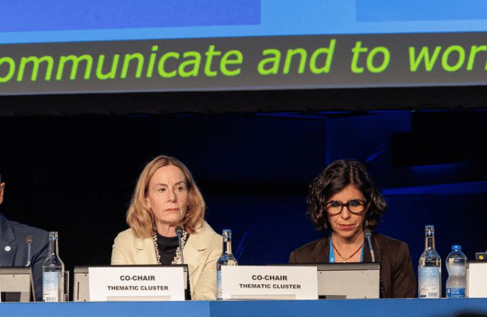 We co-led the UN’s dialogue on safe and secure AI. Here’s what needs to happen now