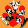 Welcome to Dogs Anonymous, the Online Support Group for People With Difficult Dogs