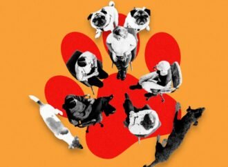 Welcome to Dogs Anonymous, the Online Support Group for People With Difficult Dogs