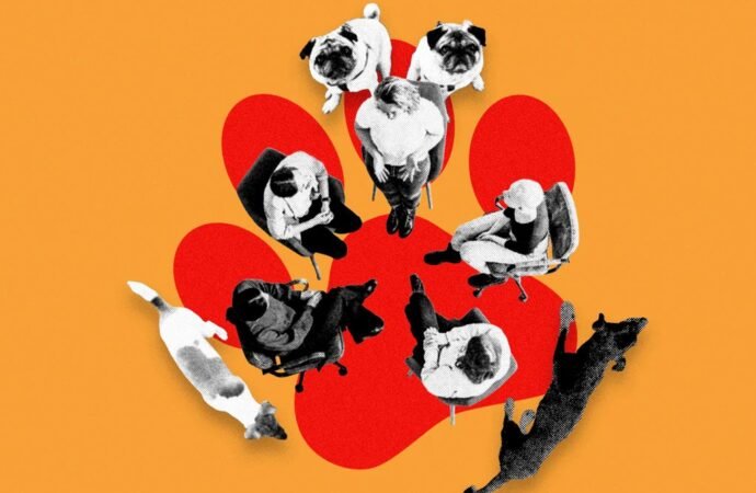 Welcome to Dogs Anonymous, the Online Support Group for People With Difficult Dogs