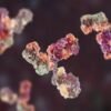When do infections lead to long COVID? Scientists close in on triggers and treatments for post-viral syndromes