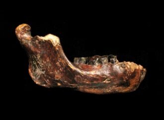 Who were the Denisovans? Rich trove of fossils and tools paints new picture