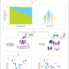 Within-family effect of ancestry on complex traits in a Mexican population – Nature