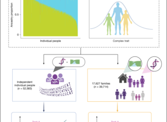 Within-family effect of ancestry on complex traits in a Mexican population – Nature