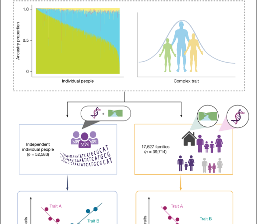 Within-family effect of ancestry on complex traits in a Mexican population – Nature