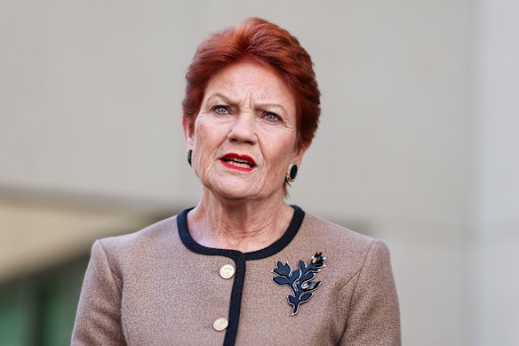 Pauline Hanson has unveiled a plan to slash temporary visa numbers after weeks of confusion from One Nation on its migration policy.
