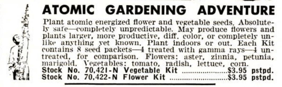 Old 1961 magazine clipping for "atomic gardening adventure"