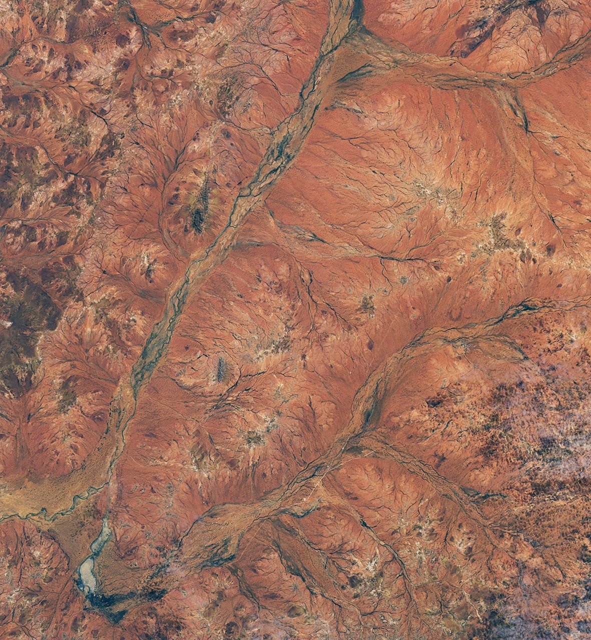Branching riverbeds and roads cut through rusty orange land in the Western Australian outback.