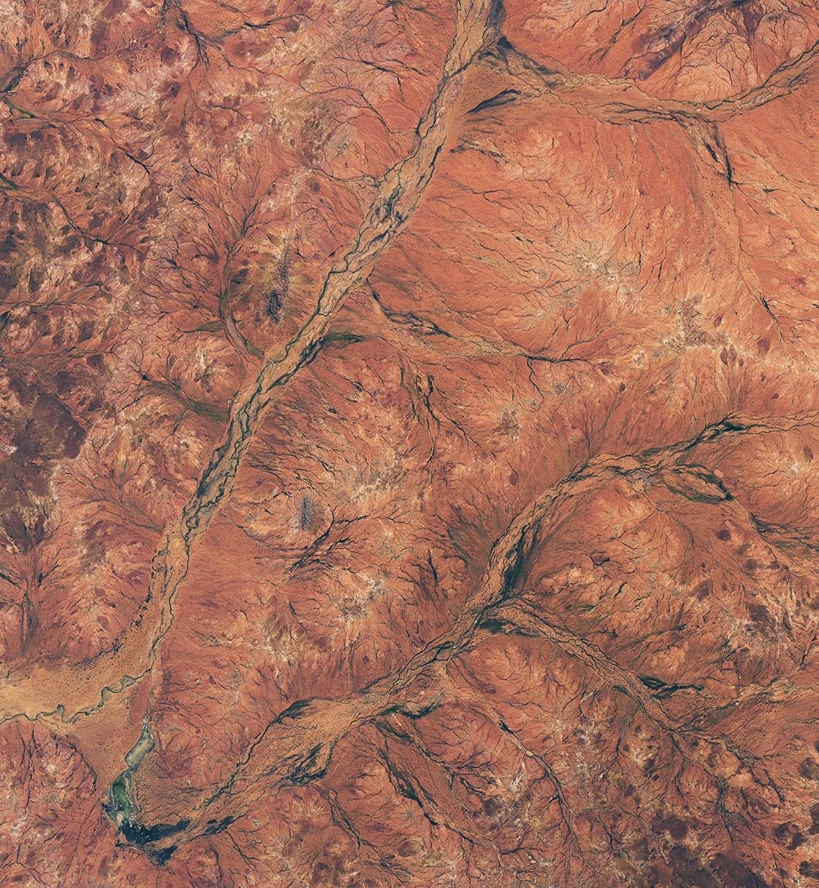 Land in the Western Australian outback appears mostly rusty orange but contains areas of green, especially in riverbeds.