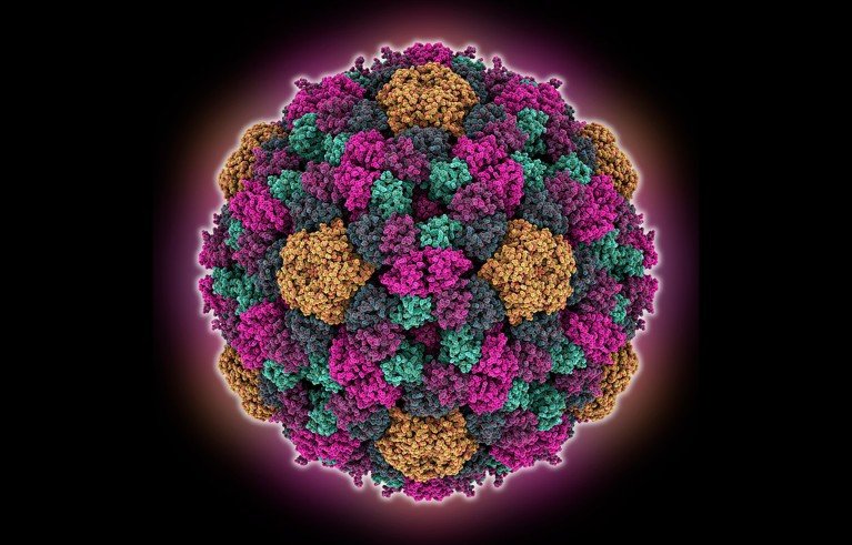 A generated model of a viral capsid resembling a sphere, dotted with clusters of green, purple and yellow specks.