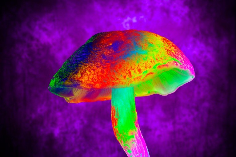 A psychedelic mushroom in vivid neon colours against a glowing purple background