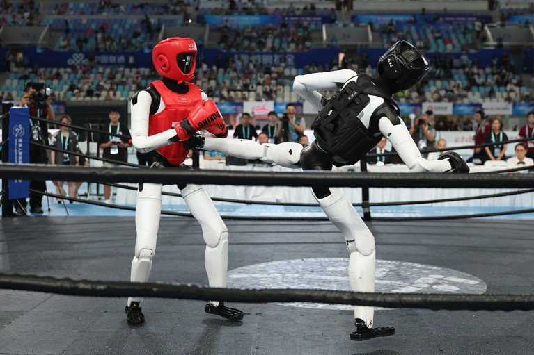 Two humanoid robots compete in the free combat fight in a boxing ring.