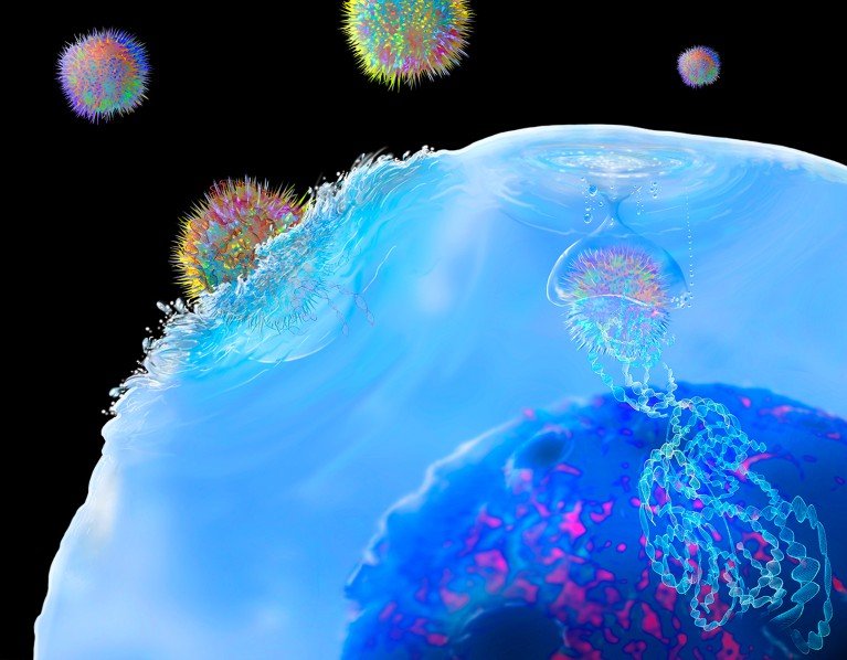 Illustration of chimeric antigen receptor T cell immunotherapy, showing spiky T cells attacking a cancer.