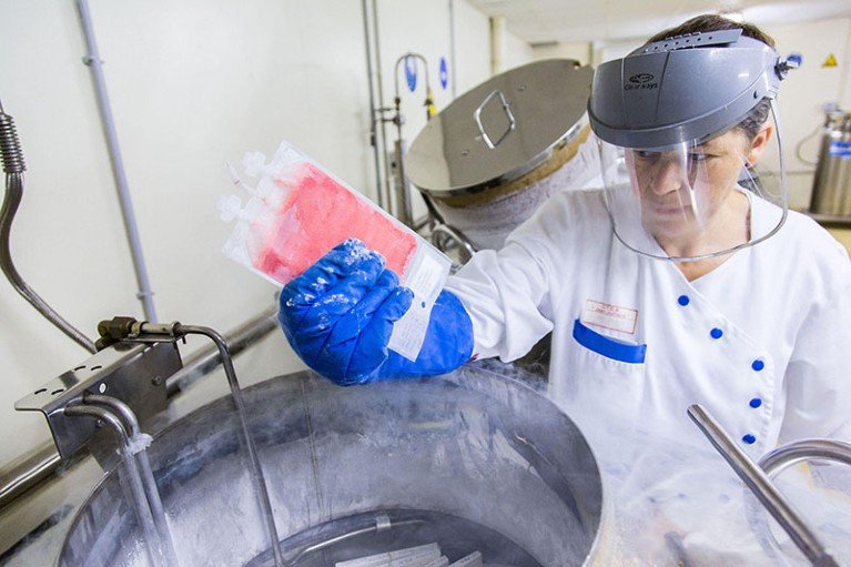 A laboratory worker wearing protective gloves and a face shield holds a frozen sample of cells above a container emitting cold vapour.
