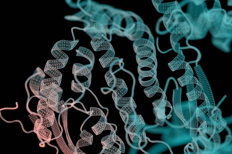 Close-up of a protein ribbon structure, digital render wireframe with pink and blue helical structures on a black background.