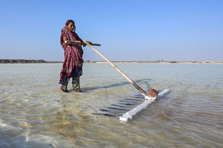 A salt pan worker in rubber boots uses a large hand rake to harvest salt on the vast alkali flats of Gujarat, India.