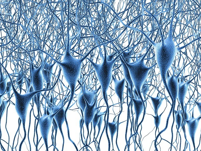 3D render of a dense network of neurons on a white background.