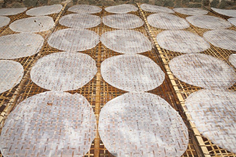 Edible rice paper circles drying outdoors on a bamboo lattice drying frame in Vietnam.