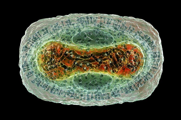 Illustration of a monkeypox virus particle on a black background.