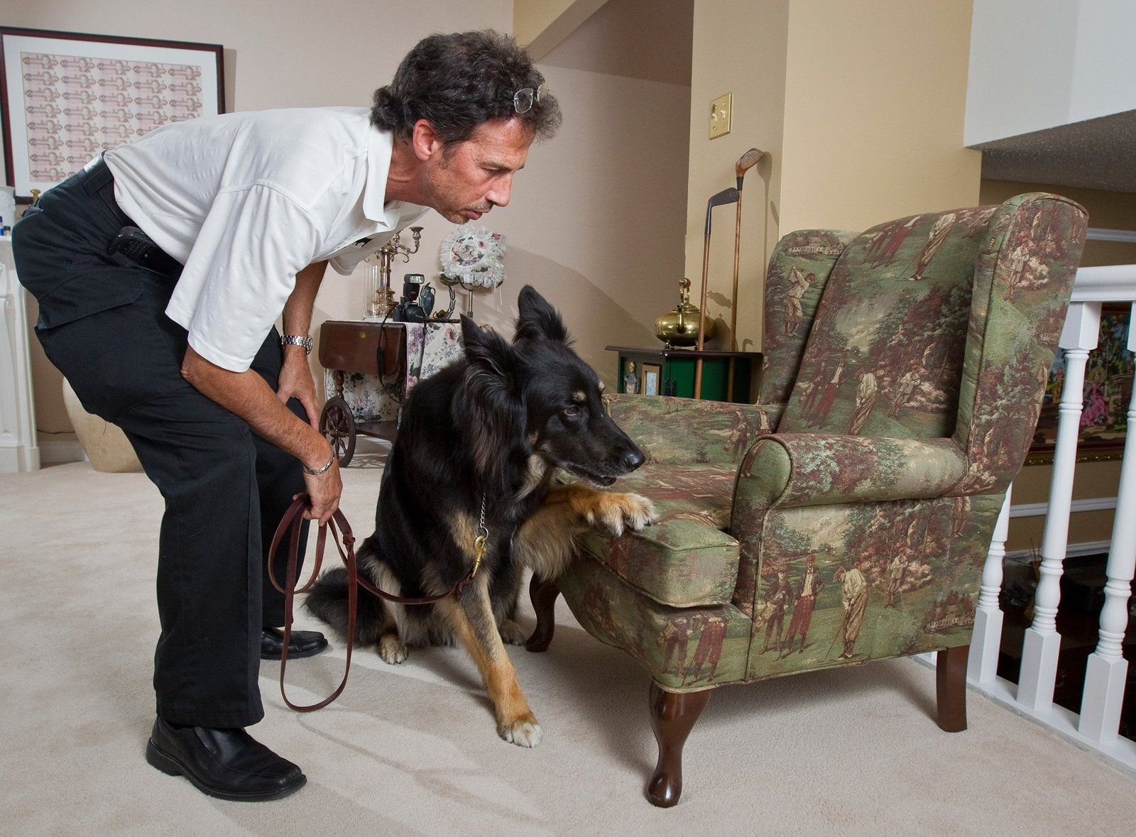 German shepherd puts paw on plush chair with white man looking on.