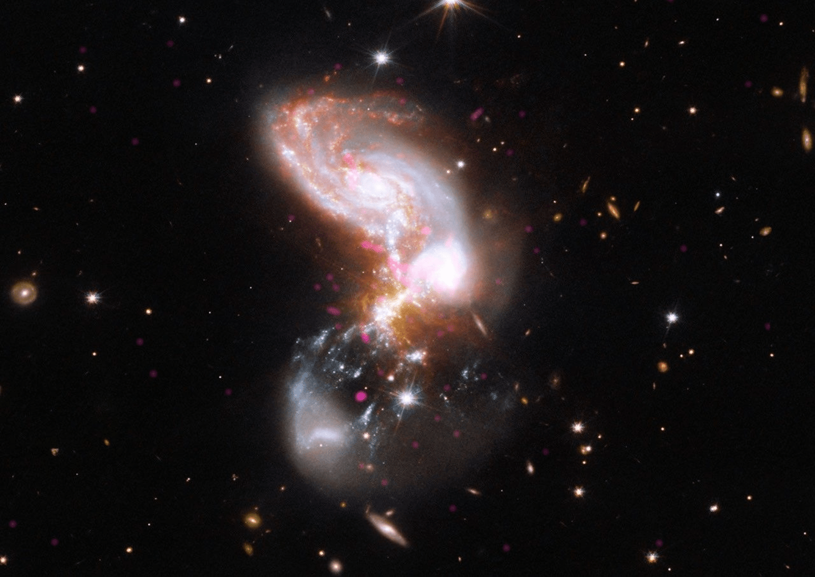 A chaotic, dust-shrouded system of merging galaxies forming stars at a furious rate. Chandra X-ray data (magenta) pinpoint powerful black hole activity and hot gas, while Hubble optical (blue and white) and Webb infrared (red and grey) data illuminate vast stellar nurseries hidden behind interstellar dust. Systems like II Zw 096 show us how powerful galaxy collisions shaped the early universe. Image: X-ray: NASA/CXC/SAO; Optical: NASA/ESA/STScI; Infrared: NASA/ESA/CSA/STScI; Image Processing: NASA/CXC/SAO/L. Frattare and J. Major.