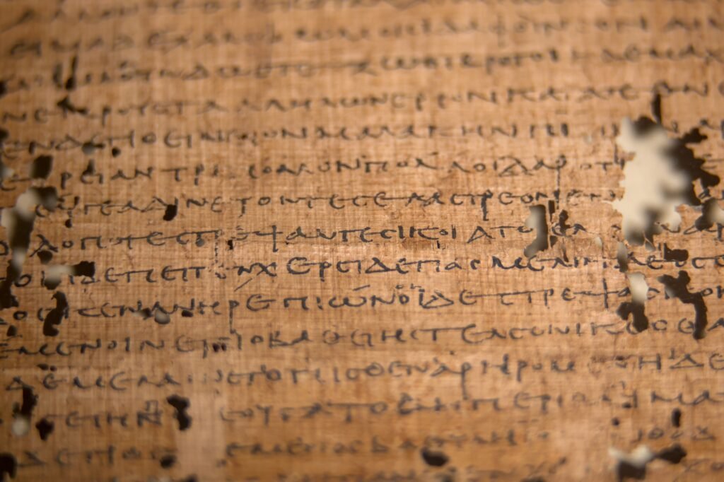 a piece of papyrus 
