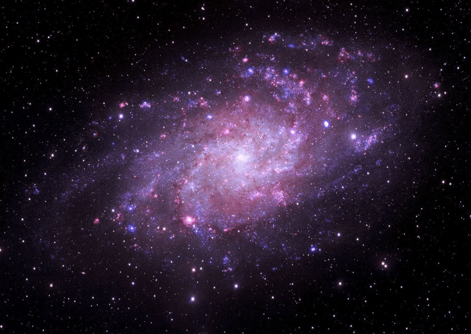 A nearby, face-on spiral galaxy whose clear spiral arms offer an unhindered view of its stellar engine. X-ray data from Chandra (purple) highlights point sources like neutron stars and stellar-mass black holes pulling material off companion stars (systems called X-ray binaries), while optical data from the Very Large Telescope’s MUSE instrument (pink and grey) maps glowing pockets of hydrogen gas. Ultraviolet data from NASA’s Swift telescope (blue) reveals populations of young, massive stars sizzling across the spiral arms. M33’s proximity to us allows astronomers to audit individual high-energy objects and map how stellar feedback affects a galaxy's ecosystem. Image: X-ray: NASA/CXC/SAO; Optical: ESO/VLT; UV: NASA/Swift; Image Processing: NASA/CXC/SAO/L. Frattare.