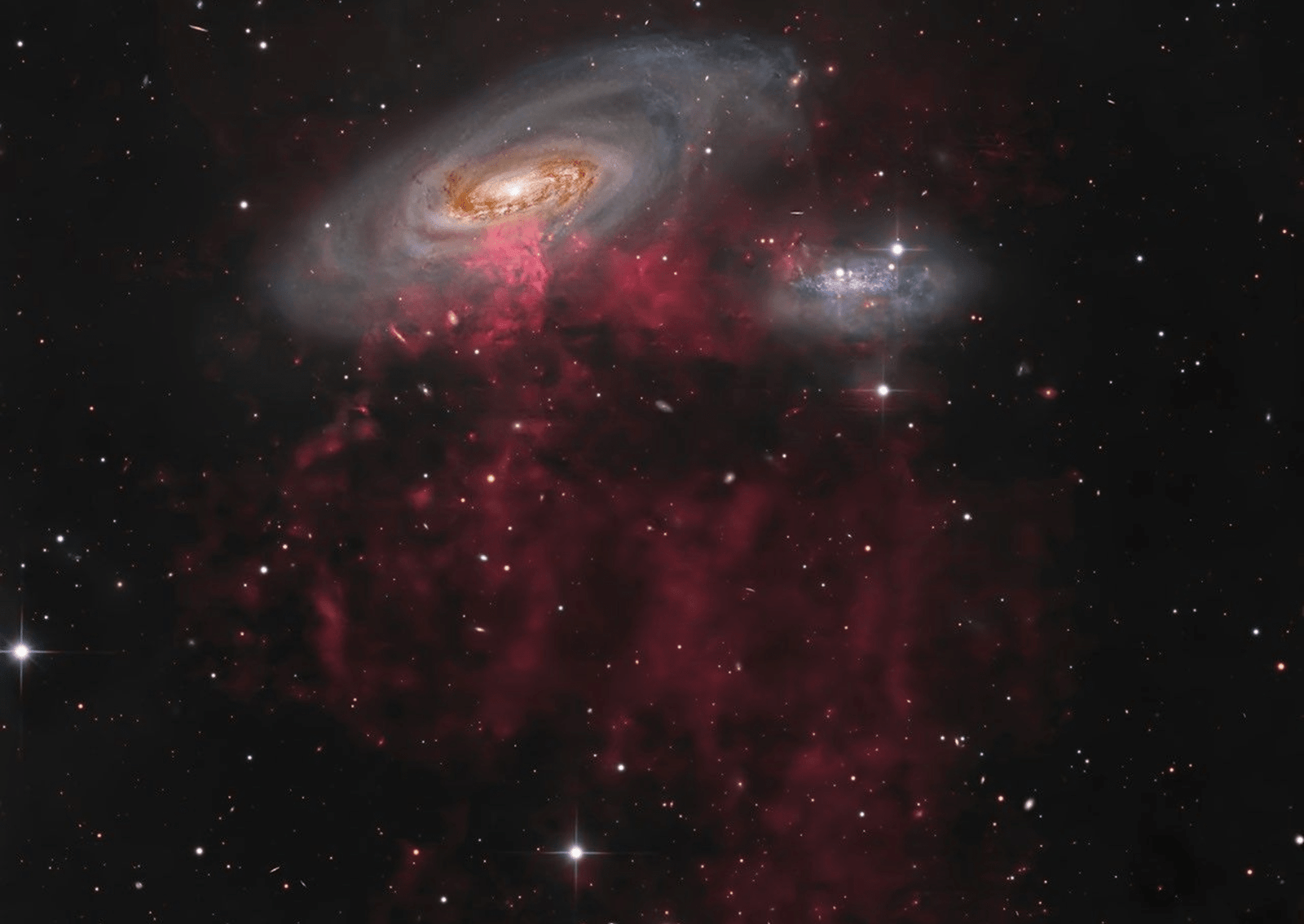 A large spiral galaxy that is being stripped of its gas as it plunges at high speed through hot gas in the Virgo Cluster of galaxies. Chandra’s X-ray data (magenta) pinpoints high-energy point sources—such as X-ray binaries and supernova remnants—and diffuse hot gas nestled within the spiral disk imaged by Hubble (blue, brown and gold). A ground-based optical light image taken from New Mexico by Timothy Martin reveals red filaments of hydrogen gas streaming over 300,000 light-years behind the galaxy as it falls into the Virgo Cluster. Image: Accidental Astronomers. X-ray: NASA/CXC/SAO; Optical: NASA/ESA/D. Thilker/J. Lee/PHANGS-HST Team; Full-field: Tim Martin; Image Processing: NASA/CXC/SAO/L. Frattare.