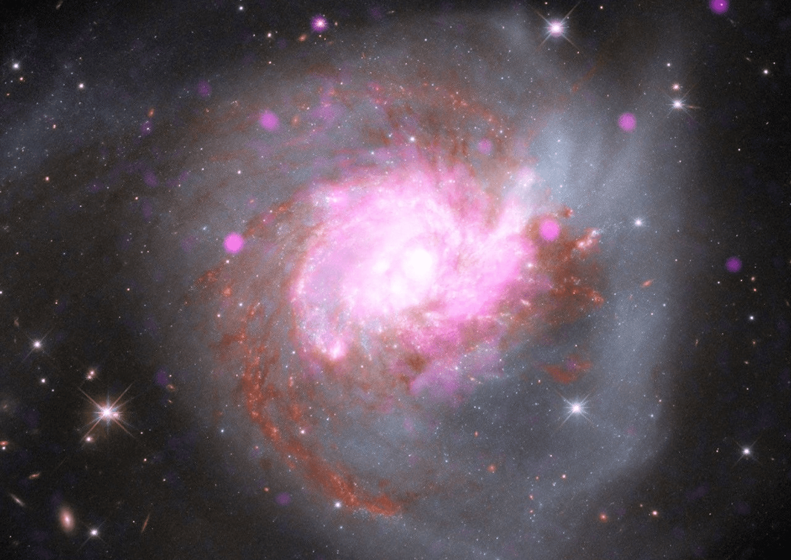 A pair of colliding, gas-rich spiral galaxies merging into a single massive system. Chandra’s X-ray data (pink) isolates point sources and shock-heated gas, Hubble’s optical light (blue and white) captures tidal tails of stars, and Webb’s infrared vision (red and orange) cuts through the dust to show hidden star formation. Galaxy collisions like this offer a preview of our far future, showing what might happen if our own Milky Way collides and merges with the nearby Andromeda Galaxy. Image: X-ray: NASA/CXC/SAO; Optical: NASA/ESA/STScI; Infrared: NASA/ESA/CSA/STScI; Image Processing: NASA/CXC/SAO/L. Frattare.