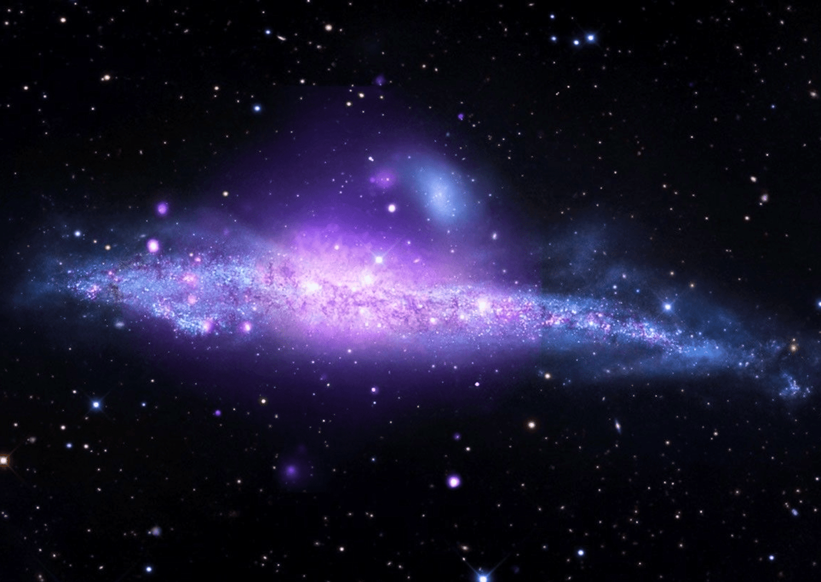 A spiral galaxy viewed from its side, featuring a giant halo of hot gas blowing out of its stellar disk. X-rays from Chandra and ESA’s XMM-Newton (purple and royal blue) trace hot gas driven out by supernovas and black holes and neutron stars pulling gas from their companions, while optical light (light blue, gold and white) from ground-based observer R. Jay GaBany showcases dense dust lanes. Edge-on views of galaxies allow astronomers to study how flat their stellar disks are and provide the clearest views of material located above or below the disk. Image: X-ray: NASA/CXC/SAO; Optical: ©2011-2015 by R Jay GaBany, Cosmotography.com; Image Processing: NASA/CXC/SAO/L. Frattare.