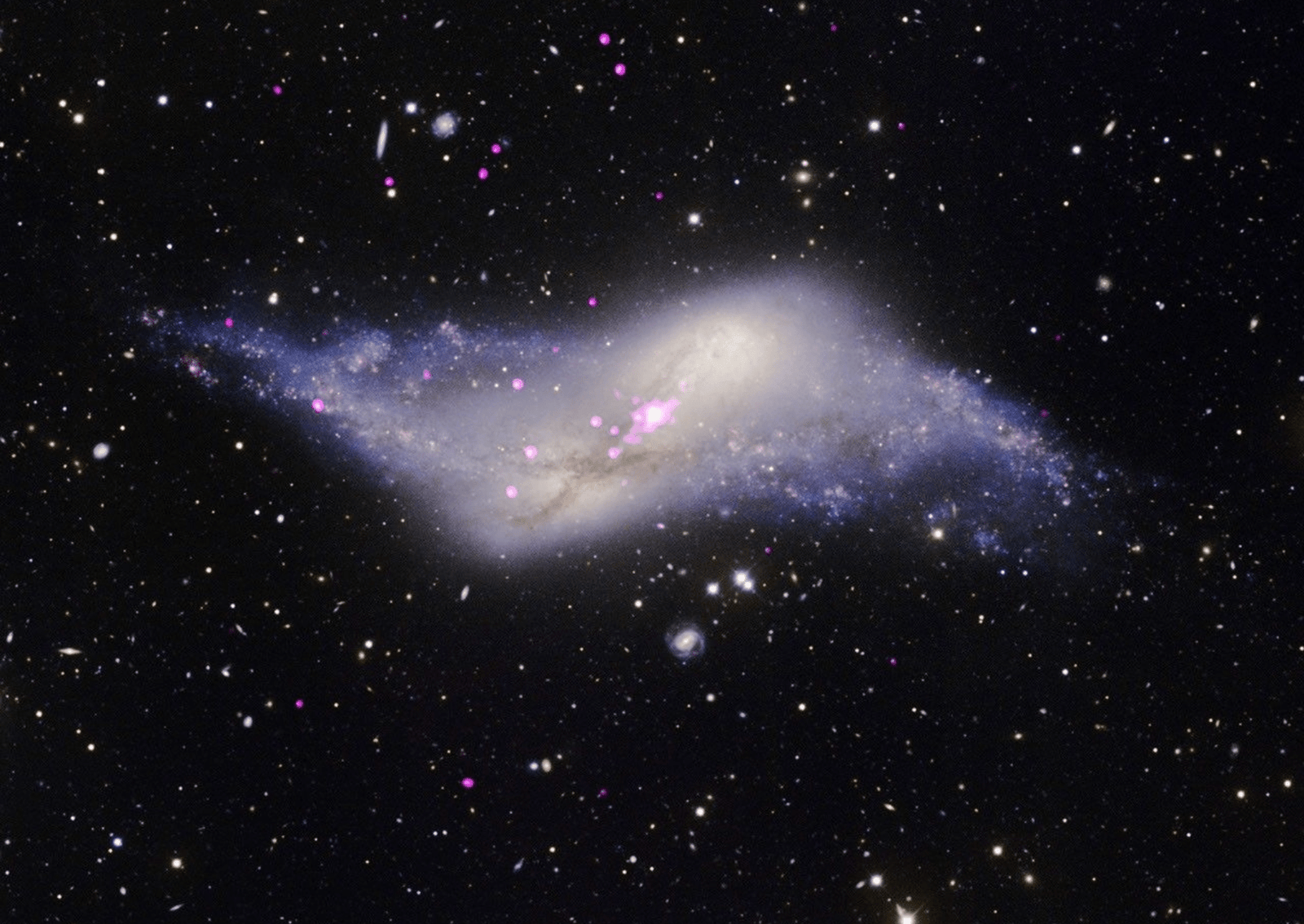 A rare "polar ring" galaxy where a tilted outer ring of stars and dust rotates over the galaxy's poles, an unusual structure likely caused by a collision with another galaxy about a billion years ago. Chandra’s X-rays (purple) reveal a possible growing supermassive black hole in the center of the galaxy, plus X-ray binaries nestled within the stars and dust captured by the Gemini Observatory in optical light (gold, blue and white). Studying polar rings teaches us about the diverse effects of stellar collisions on the shapes of galaxies. Image: X-ray: NASA/CXC/SAO; Optical:NSF/International Gemini Observatory/AURA; Image Processing: NASA/CXC/SAO/L. Frattare.