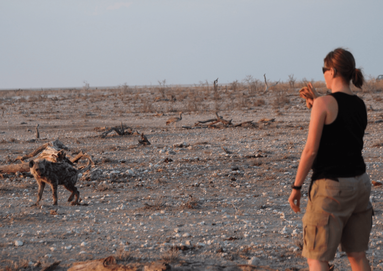 a young hyena looks at a woman