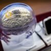 ‘Multifunctional’ brain implant translates speech and gestures in real time